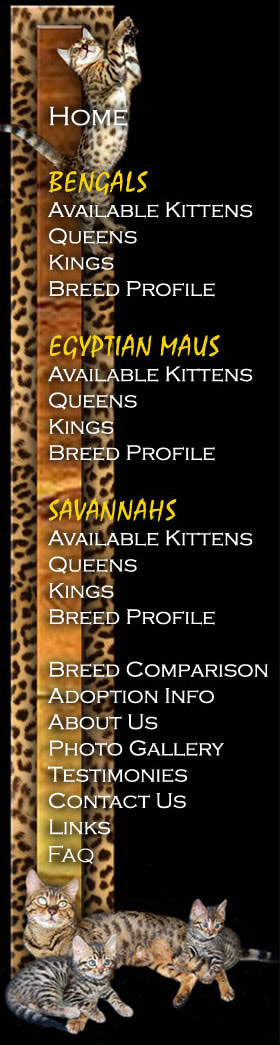 Savannah Size Chart